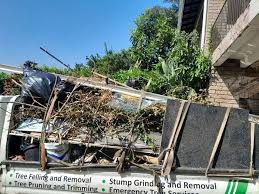 Same-Day Junk Removal Services in Wilson, PA